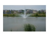 Владивосток.. плавучий фонтан
Фотограф: vikirin

Просмотров: 924
Комментариев: 0