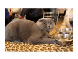 31

Просмотров: 1606
Комментариев: 0