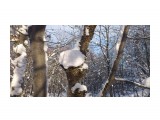 Зимние грибочки... 
Фотограф: vikirin

Просмотров: 2059
Комментариев: 0