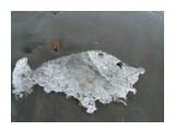 айсрыба 2

Просмотров: 2988
Комментариев: 0