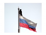 флаг
День Государственного флага Российской Федерации отмечается ежегодно 22 августа. Он был установлен в 1994 году. Ворона пристроилась тоже хочет быть символом!

Просмотров: 495
Комментариев: 0