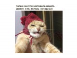 котяра

Просмотров: 3957
Комментариев: 1