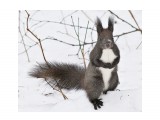 ***
Фотограф: Сергей Буркацкий

Просмотров: 1327
Комментариев: 5