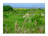 Соловьёвка - приморское село.

Просмотров: 585
Комментариев: 0