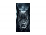 Dog-wallpaper-11199626