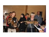 46
номинанты на Бэст в КШ группе

Просмотров: 460
Комментариев: 0