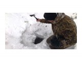 Под снегом звонко журчала речка...чистая вкусная вода..
Фотограф: vikirin

Просмотров: 2779
Комментариев: 0