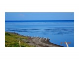 DSC05332
Чайки.

Просмотров: 349
Комментариев: 0