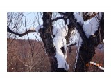 "Котик"

Просмотров: 687
Комментариев: 1