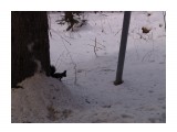 Название: DSC02681
Фотоальбом: Зимняя прогулка...
Категория: Животные

Время съемки/редактирования: 2015:12:20 14:03:40
Фотокамера: SONY - DSC-F828
Диафрагма: f/4.0
Выдержка: 10/2000
Фокусное расстояние: 200/10



Просмотров: 400
Комментариев: 0