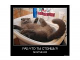 555
кот

Просмотров: 1688
Комментариев: 