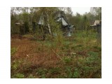это такая земля вся заросла

Просмотров: 1064
Комментариев: 
