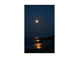 Название: Лунный тропа
Фотоальбом: Разное
Категория: Природа

Просмотров: 540
Комментариев: 16