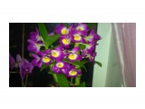 13032012132

Просмотров: 1623
Комментариев: 