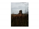 Название: батек в скрадке
Фотоальбом: Разное
Категория: Рыбалка, охота
Фотограф: Baff2014

Просмотров: 3018
Комментариев: 1