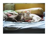 3

Просмотров: 3449
Комментариев: 0