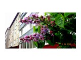 DSC09736

Просмотров: 398
Комментариев: 0