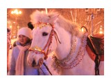 Название: ***
Фотоальбом: праздники
Категория: Праздники

Время съемки/редактирования: 2017:01:02 02:17:56
Фотокамера: Canon - Canon EOS 600D
Диафрагма: f/6.3
Выдержка: 1/6
Фокусное расстояние: 46/1



Просмотров: 377
Комментариев: 0