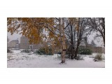 Первый снег
Фотограф: vikirin

Просмотров: 1866
Комментариев: 0