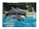 555

Просмотров: 1258
Комментариев: 