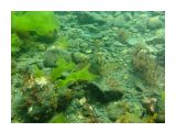 Название: Изображение 034
Фотоальбом: Разное
Категория: Море

Время съемки/редактирования: 2008:09:09 13:31:46
Фотокамера: SONY - DSC-W150
Диафрагма: f/3.3
Выдержка: 10/2500
Фокусное расстояние: 50/10
Светочуствительность: 100


Просмотров: 4509
Комментариев: 0