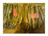 малоротка
тайфунчик в вакууме

Просмотров: 4974
Комментариев: 
