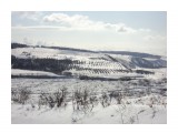 ШЕСТОМА
Фотограф: САМСОНОВ

Просмотров: 1612
Комментариев: 1