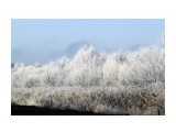 Сказочный лес
Фотограф: Gaan
Обычно зимой лес чёрный земля белая а тут наоборот

Просмотров: 3966
Комментариев: 0