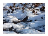 DSCN0435

Просмотров: 581
Комментариев: 0