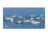 ***
Фотограф: Сергей Буркацкий

Просмотров: 1343
Комментариев: 0