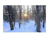 по утру

Просмотров: 2663
Комментариев: 0