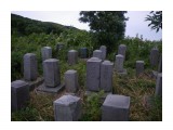 p кудрявый 2010 046

Просмотров: 2159
Комментариев: 