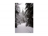 обкатка снегоступов
Фотограф: Федик О.Б.

Просмотров: 543
Комментариев: 0