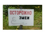 Владивосток. Ботанический сад
Фотограф: vikirin

Просмотров: 964
Комментариев: 0