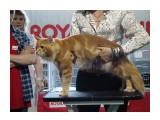 DSC01276

Просмотров: 608
Комментариев: 
