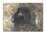 В одной из пещер мыса Скальный...

Просмотров: 421
Комментариев: 0