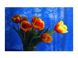 012-м

Просмотров: 729
Комментариев: 0