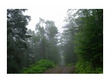 002-м

Просмотров: 719
Комментариев: 0