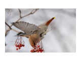 :)
Фотограф: Tsygankov Yuriy

Просмотров: 710
Комментариев: 0
