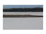 Горловина залива. лежбище нерпы
Фотограф: vikirin

Просмотров: 1704
Комментариев: 0
