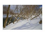 ***

Просмотров: 2588
Комментариев: 0