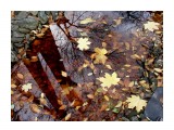 PB010175_н

Просмотров: 528
Комментариев: 0