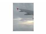 SDC11164

Просмотров: 520
Комментариев: 