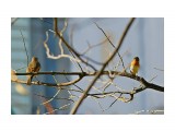***
Фотограф: Сергей Буркацкий

Просмотров: 1339
Комментариев: 0