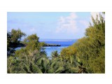 Название: Утро
Фотоальбом: Saipan.Hotel "Pacific Islands Club"
Категория: Туризм, путешествия

Время съемки/редактирования: 2009:06:24 08:11:43
Фотокамера: Canon - Canon EOS 50D
Диафрагма: f/7.1
Выдержка: 1/200
Фокусное расстояние: 80/1
Светочуствительность: 100


Просмотров: 1280
Комментариев: 0
