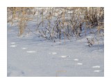 следы
снег был

Просмотров: 348
Комментариев: 0