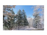 190-к

Просмотров: 633
Комментариев: 0