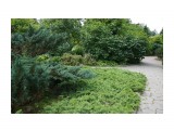 Владивосток. Ботанический сад
Фотограф: vikirin

Просмотров: 1175
Комментариев: 0
