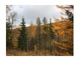 025-к

Просмотров: 652
Комментариев: 0