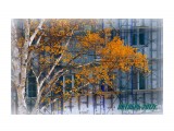 осень

Просмотров: 2992
Комментариев: 0